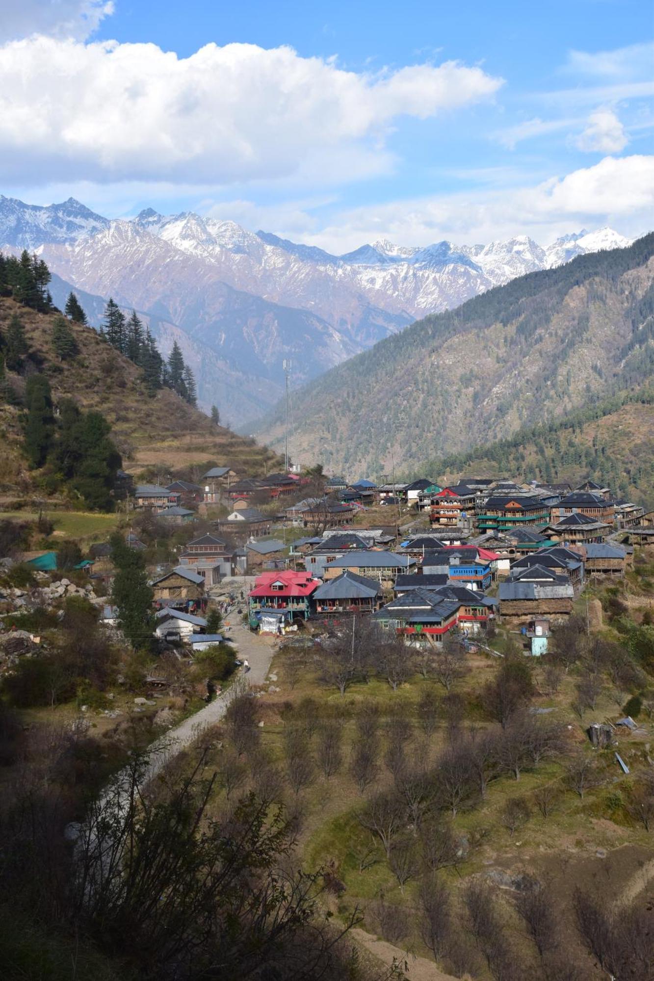 Kudrat - A Boutique Homestay- Tirthan Valley Gushaini Kültér fotó