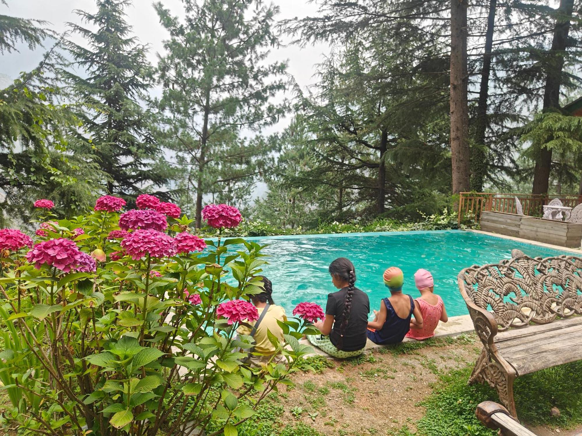 Kudrat - A Boutique Homestay- Tirthan Valley Gushaini Kültér fotó
